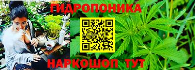 ПСИЛОЦИБИНОВЫЕ ГРИБЫ Кунгур