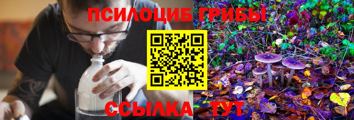 Звенигород  Псилоцибиновые грибы мицелий  Галлюциногенные грибы ЛСД  Вход с VPN 